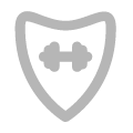 Shield icon